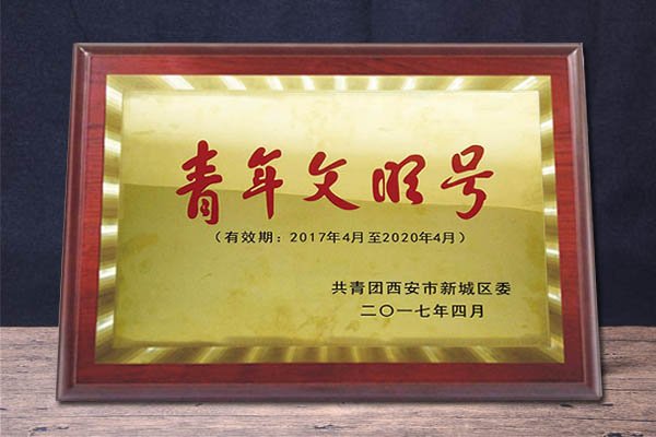 实训展示 · 学生处 · 团委 · 
