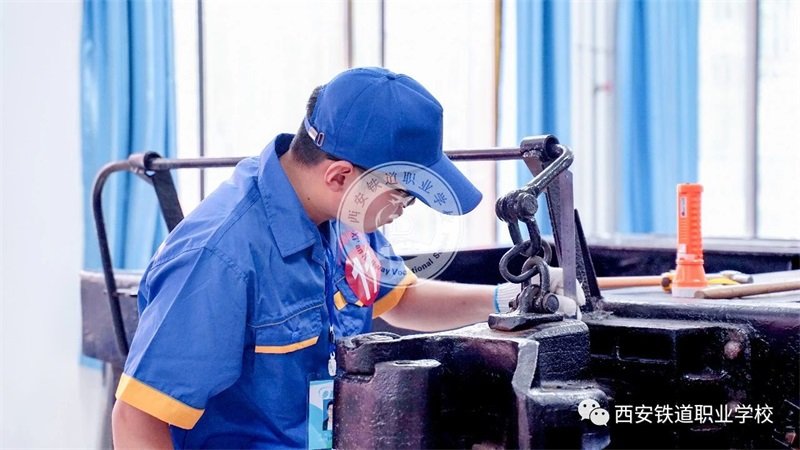 开云(中国)官网入口